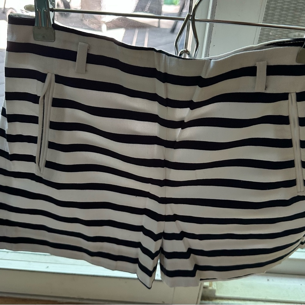 Zara Basic Collection Shorts